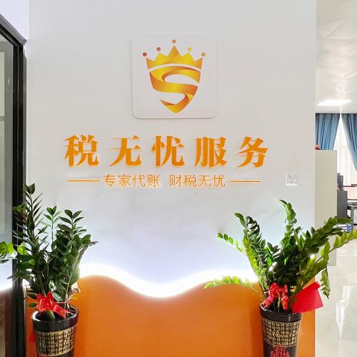 广西税无忧财务服务 专业会计服务，让企业经营更安心